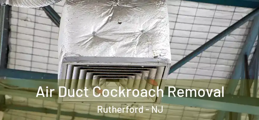  Air Duct Cockroach Removal Rutherford - NJ