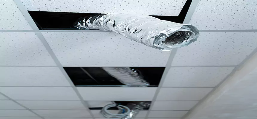 Affordable HVAC Sanitizing After Pest Removal in Rutherford