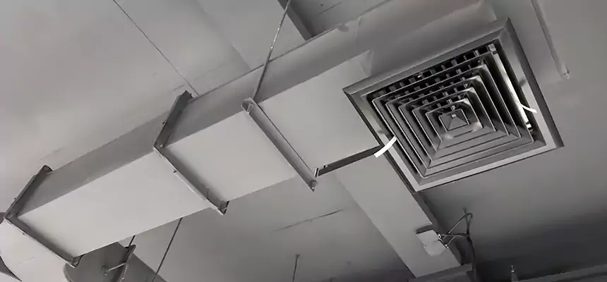 Restorative Allergy Relief Vent Cleaning – Coil, Blower & Housing Detail in Rutherford