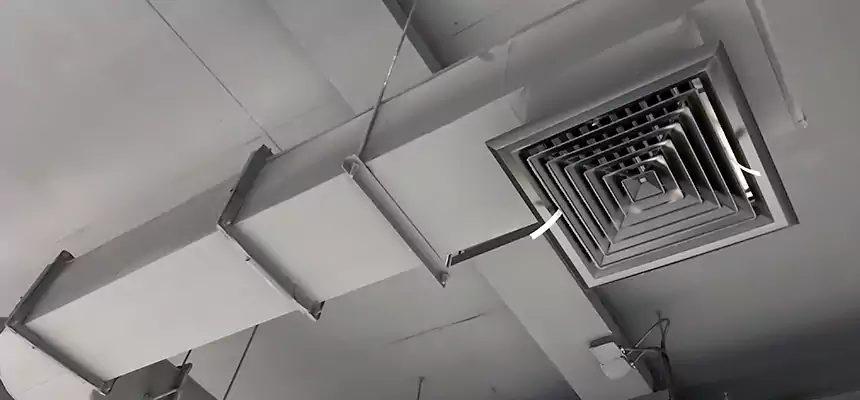 Our Pest Removal From Ducts Services in Rutherford, NJ