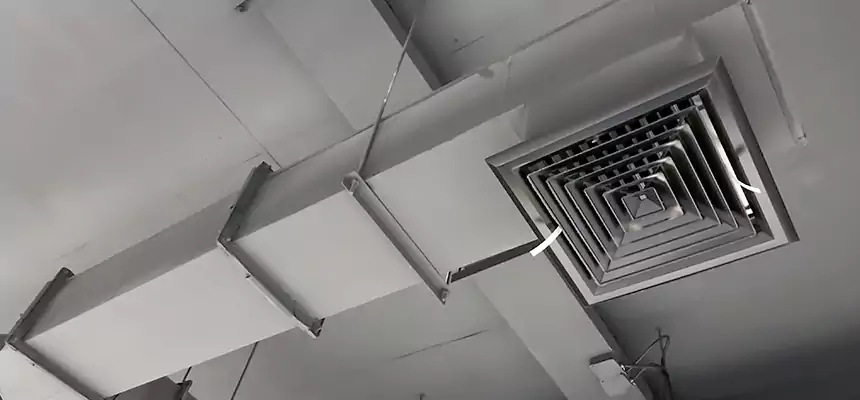 Our Rodent Droppings In Vents Services in Rutherford, NJ