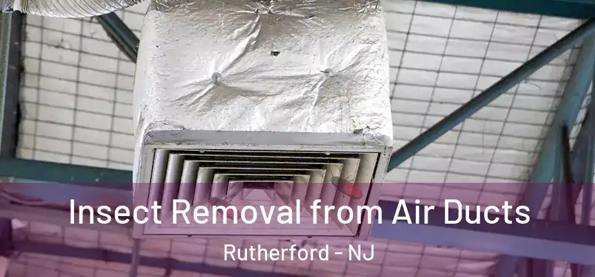  Insect Removal from Air Ducts Rutherford - NJ