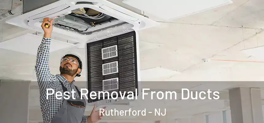  Pest Removal From Ducts Rutherford - NJ
