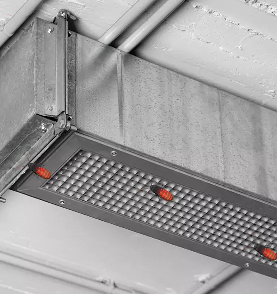 About Air Duct Cockroach Removal in Rutherford, NJ
