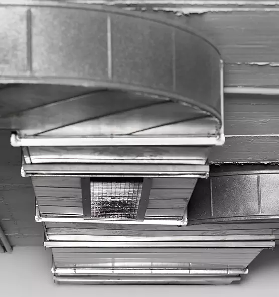 Professional Air Duct Pest Removal in Rutherford, NJ