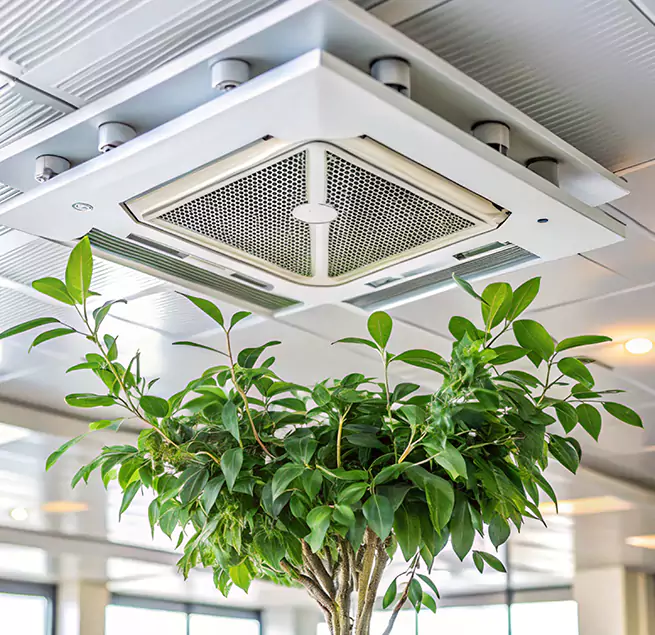 Why Homeowners & Businesses Trust Us in Rutherford, NJ?